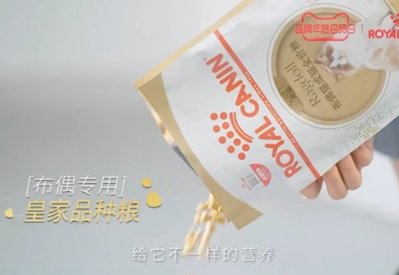 布偶吃什么猫粮不软便?皇家敏感配方解救“玻璃胃”大困扰! 布偶吃什么猫粮不软便?皇家敏感配方解救“玻璃胃”大困扰!