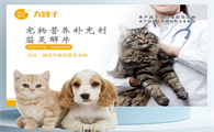 大团子筋灵解片是正规药品吗