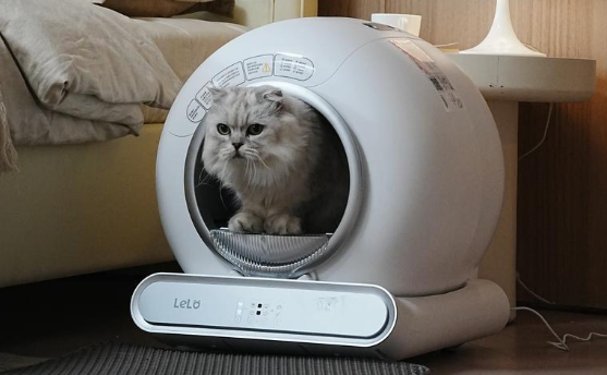 LELO小尼猫砂盆多大 LELO小尼猫砂盆多大