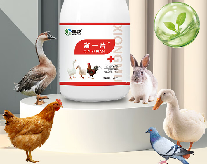 雄牧禽一片:禽类健康养殖的贴心守护者 雄牧禽一片:禽类健康养殖的贴心守护者