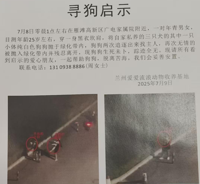 小狗多次被遗弃至绿化带，监控显示它狂奔3公里追主人