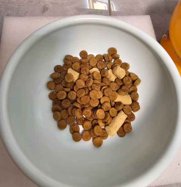 烘焙猫粮推荐平价:乐顿实现“吃肉自由”与“肠胃呵护”双重突破 烘焙猫粮推荐平价:乐顿实现“吃肉自由”与“肠胃呵护”双重突破