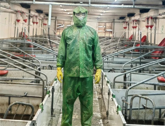 金大康兽药增林效果显著，助力养殖实现新突破