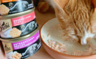 口碑比较好的国产猫罐头有哪些？希宝打造主食级营养新标杆！