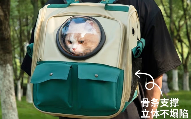 飞主流猫包怎么样