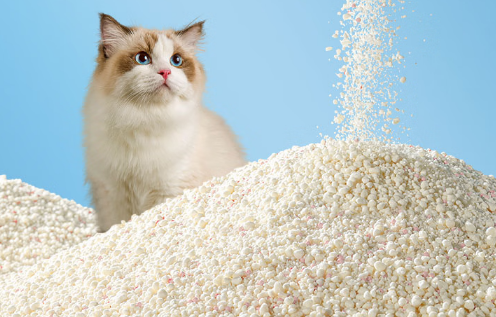 超凡猫砂:用科学配比重塑养宠清洁体验 超凡猫砂:用科学配比重塑养宠清洁体验
