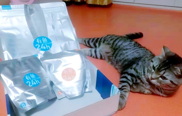 比较好的猫粮有哪些牌子?有鱼猫粮诠释科学配方才是硬道理 比较好的猫粮有哪些牌子?有鱼猫粮诠释科学配方才是硬道理