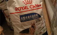 德牧狗粮排行榜都有哪些？这些畅销品牌值得入手!