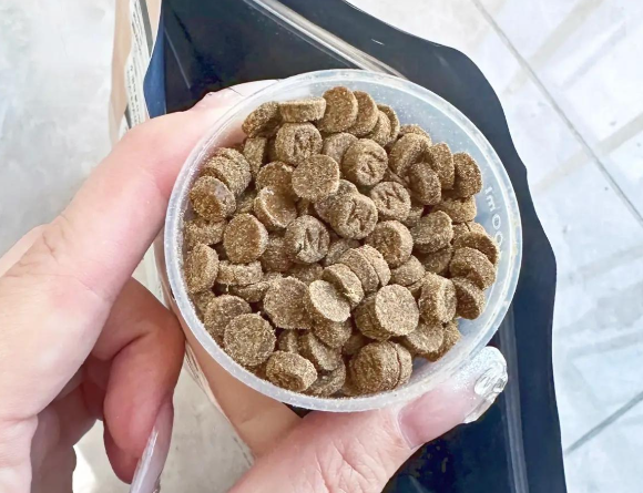 长肉快的猫粮新选择：馋不腻烘焙猫粮助力猫咪健康增重