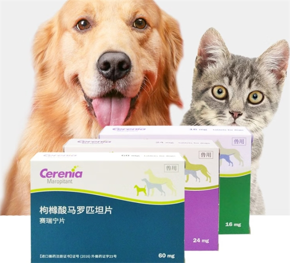 赛瑞宁止吐针是什么药