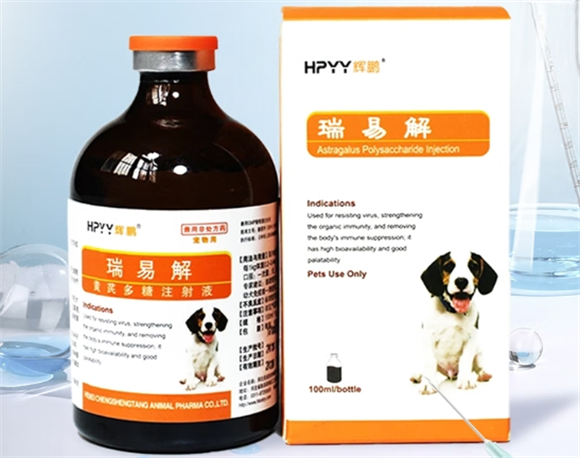 辉鹏瑞易解黄芪多糖注射液：宠物疫苗免疫的实用营养保障