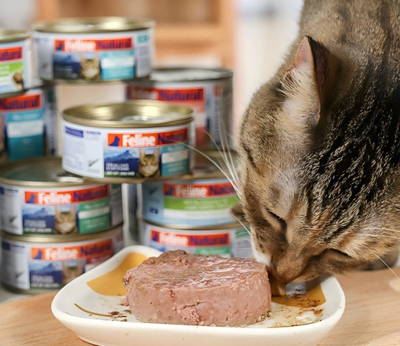 猫咪零食推荐品牌,K9 Natural科学喂养时代的高端之选 猫咪零食推荐品牌,K9 Natural科学喂养时代的高端之选