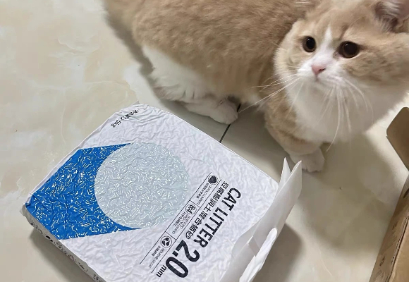 哪款猫砂便宜又好用?瑞梦迪实力诠释性价比与品质的完美平衡 哪款猫砂便宜又好用?瑞梦迪实力诠释性价比与品质的完美平衡