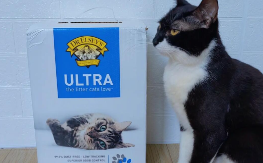 博贝猫砂怎么这么便宜 博贝猫砂怎么这么便宜