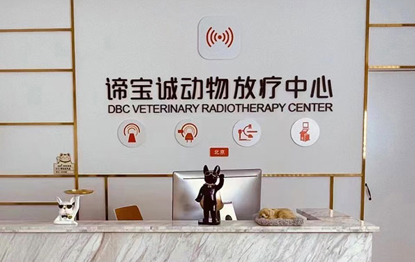 谛宝诚品牌:动物医疗影像领域的中流砥柱 谛宝诚品牌:动物医疗影像领域的中流砥柱