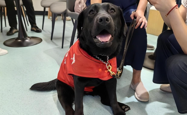 陕西历史博物馆导盲犬事件：六千年文明与无障碍权益的碰撞