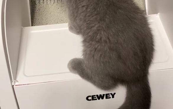 CEWEY是哪个国家的 CEWEY是哪个国家的
