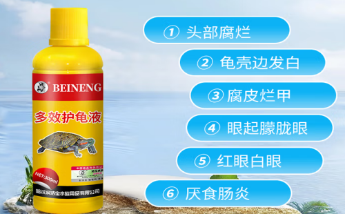 备能
