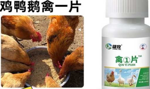 雄牧禽一片有效果吗