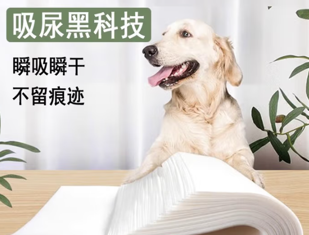 阿柴与猫,四季更迭里的恒温守护 阿柴与猫,四季更迭里的恒温守护