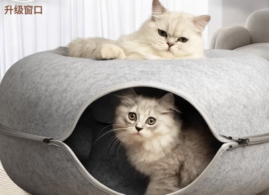 甜苗苗猫窝怎么洗 甜苗苗猫窝怎么洗
