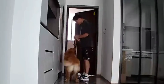 女子问谁能帮她遛狗,结果朋友们互相没通知都默默去她家遛狗! 女子问谁能帮她遛狗,结果朋友们互相没通知都默默去她家遛狗!