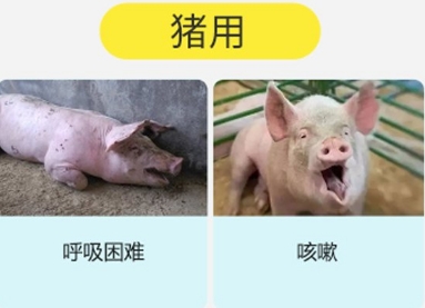 畜小牧呼喘克成分是什么