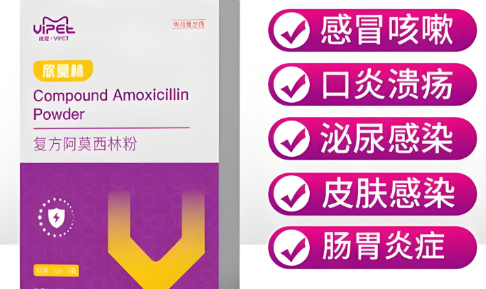 VIPET宠物阿莫西林:守护宠物健康的得力助手 VIPET宠物阿莫西林:守护宠物健康的得力助手