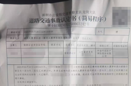 送宠物店洗澡的小狗因店员疏忽跑出被撞死:主人索赔数万,协商未果 送宠物店洗澡的小狗因店员疏忽跑出被撞死:主人索赔数万,协商未果