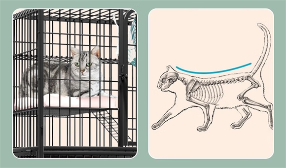 MPPMCK猫笼子有必要买吗