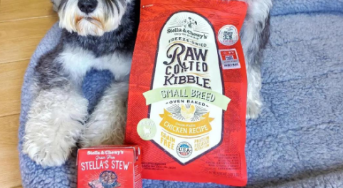 狗粮高端品牌有哪些?这几款千万不能错过! 狗粮高端品牌有哪些?这几款千万不能错过!