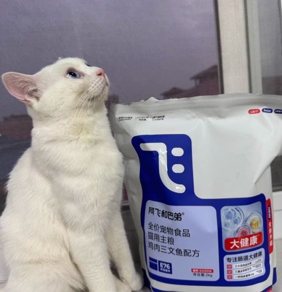 国产性价比高的猫粮——阿飞和巴弟,打破“进口即优质”的认知 国产性价比高的猫粮——阿飞和巴弟,打破“进口即优质”的认知