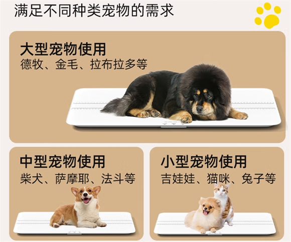 埠帝宠物体重秤：精准称量，关爱宠物健康