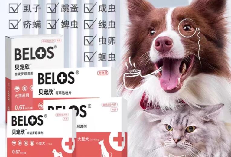 贝宠欣驱虫药对猫咪有害吗 贝宠欣驱虫药对猫咪有害吗