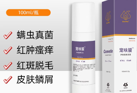 布尔派特宠呋骏多少钱 布尔派特宠呋骏多少钱