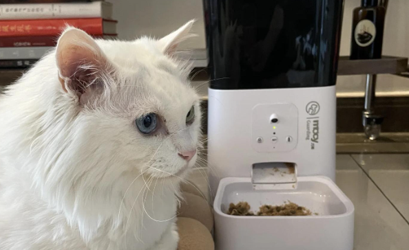 喵享家喂食器怎么清洗