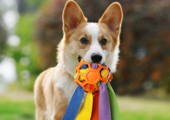 宠物用品、平价茶饮、古法黄金等成为消费者追捧的“新宠” 宠物用品、平价茶饮、古法黄金等成为消费者追捧的“新宠”