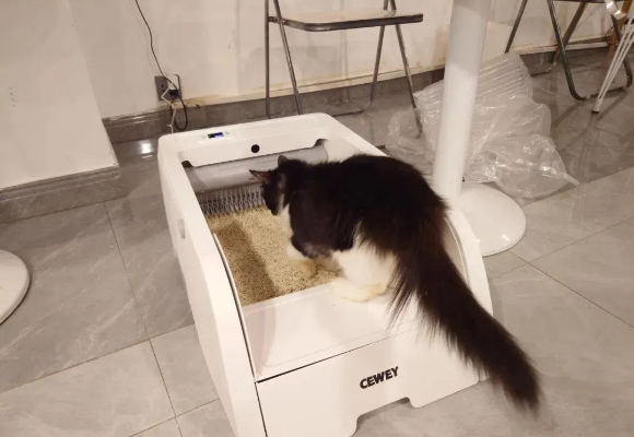 新手养猫怎么选猫砂盆?Cewey让小白轻松上手 新手养猫怎么选猫砂盆?Cewey让小白轻松上手