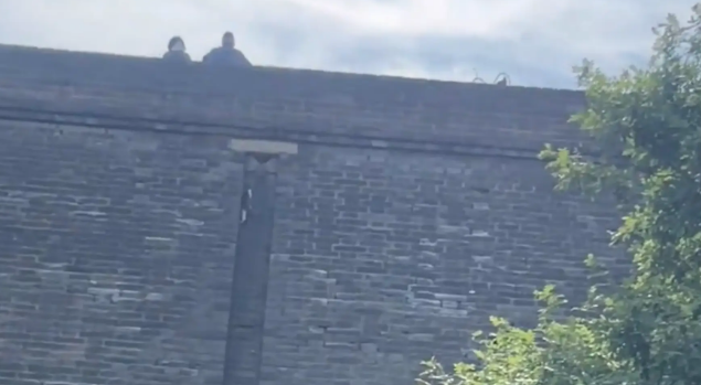 女子旅游偶遇爬城墙的猫咪。猫:无人扶猫凌云志,我自踏雪上山巅 女子旅游偶遇爬城墙的猫咪。猫:无人扶猫凌云志,我自踏雪上山巅