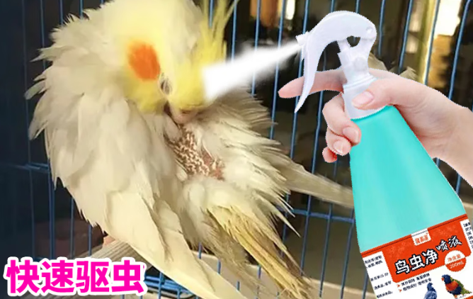 宠举体外驱虫喷雾有用吗