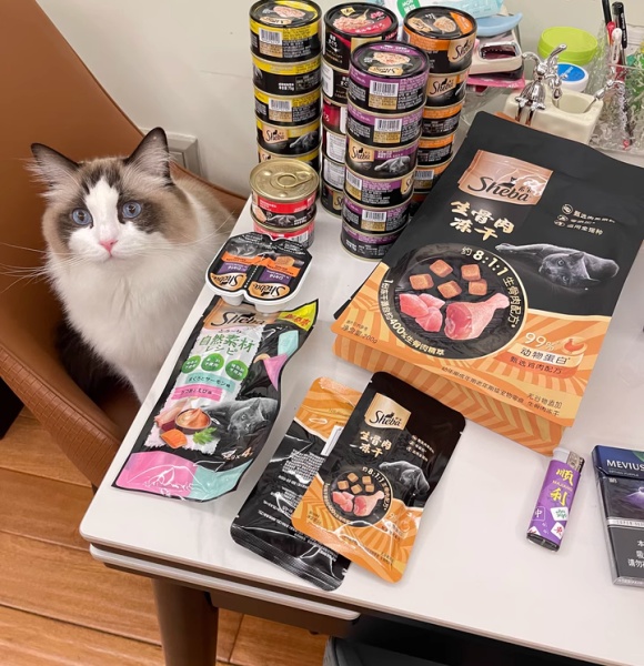 猫罐头哪个牌子好些？希宝食水同补以“鲜”突围
