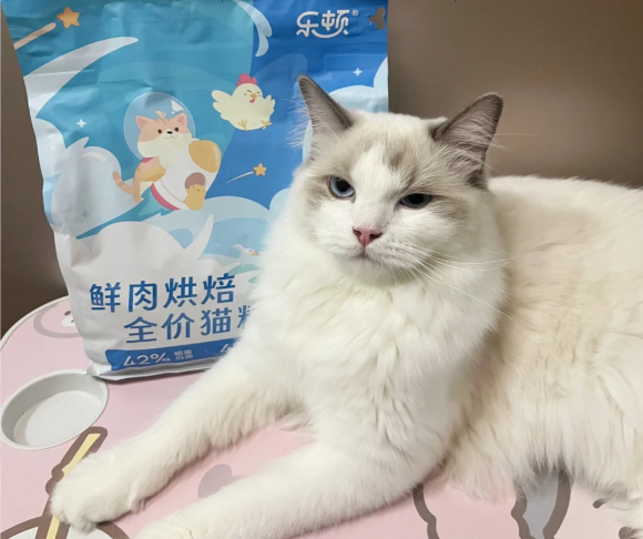 猫粮长肉增肥推荐“全能选手”乐顿猫粮,演绎科学喂养的硬核突围 猫粮长肉增肥推荐“全能选手”乐顿猫粮,演绎科学喂养的硬核突围