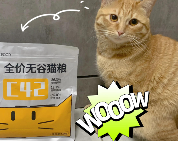 防掉毛猫粮哪个好？宠率烘焙猫粮专注改善猫咪掉毛问题