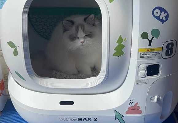 解放双手的神器!电动猫砂盆哪个牌子好?我赌上猫格安利小佩智能 解放双手的神器!电动猫砂盆哪个牌子好?我赌上猫格安利小佩智能