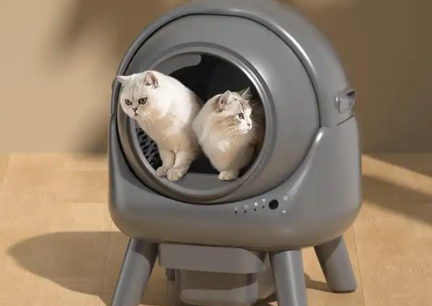 小壹猫砂盆怎么样?智能设计带来的便捷与舒适体验 小壹猫砂盆怎么样?智能设计带来的便捷与舒适体验