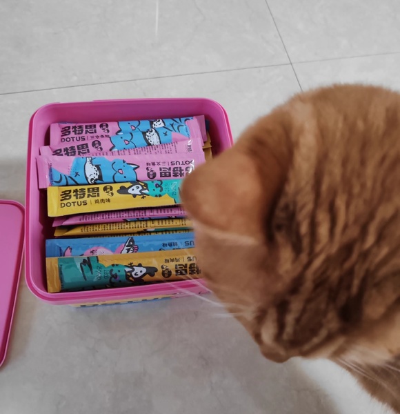 给宠物猫买什么零食?多特思猫条馋得猫咪喵喵叫 给宠物猫买什么零食?多特思猫条馋得猫咪喵喵叫