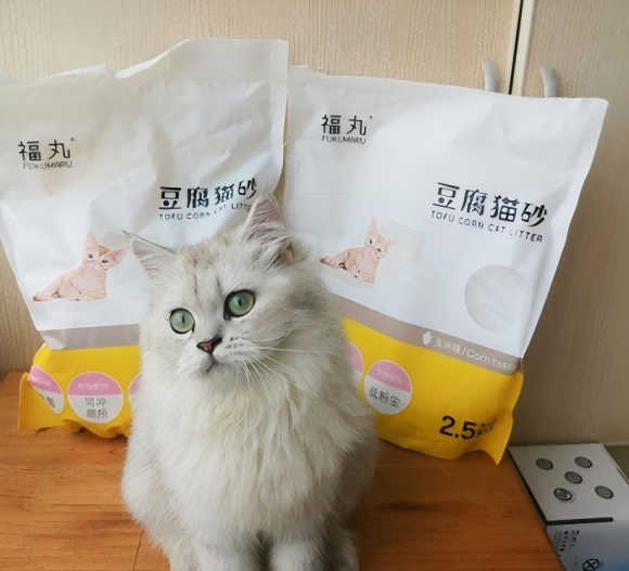 猫砂幼猫推荐好用丨福丸玉米豆腐猫砂做幼猫选“第一块垫脚石” 猫砂幼猫推荐好用丨福丸玉米豆腐猫砂做幼猫选“第一块垫脚石”
