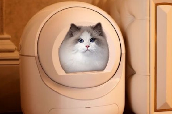 HMPET猫砂盆哪种款式比较好 HMPET猫砂盆哪种款式比较好