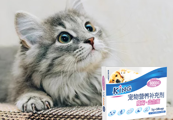 KING CUBE益生菌的功效和作用是什么 KING CUBE益生菌的功效和作用是什么
