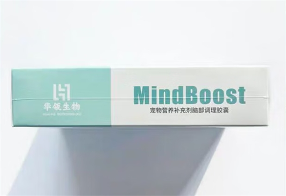 用忆力活调理胶囊，让毛孩的世界依旧清晰